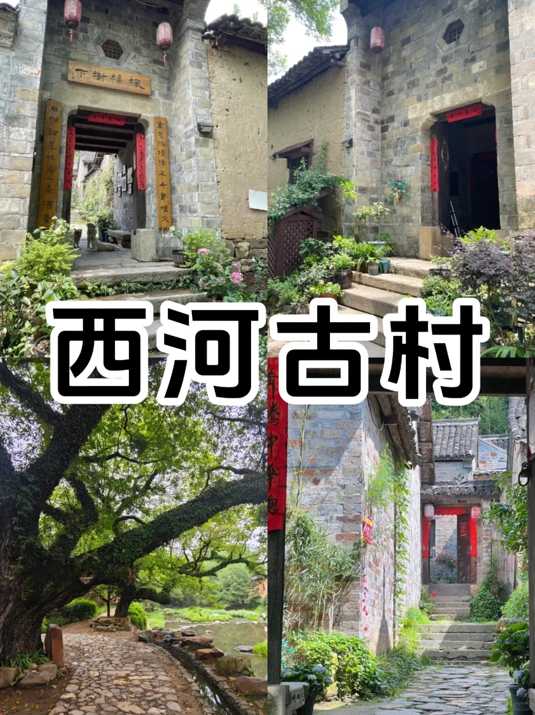 信阳必去9大景点超全新手攻略‼️