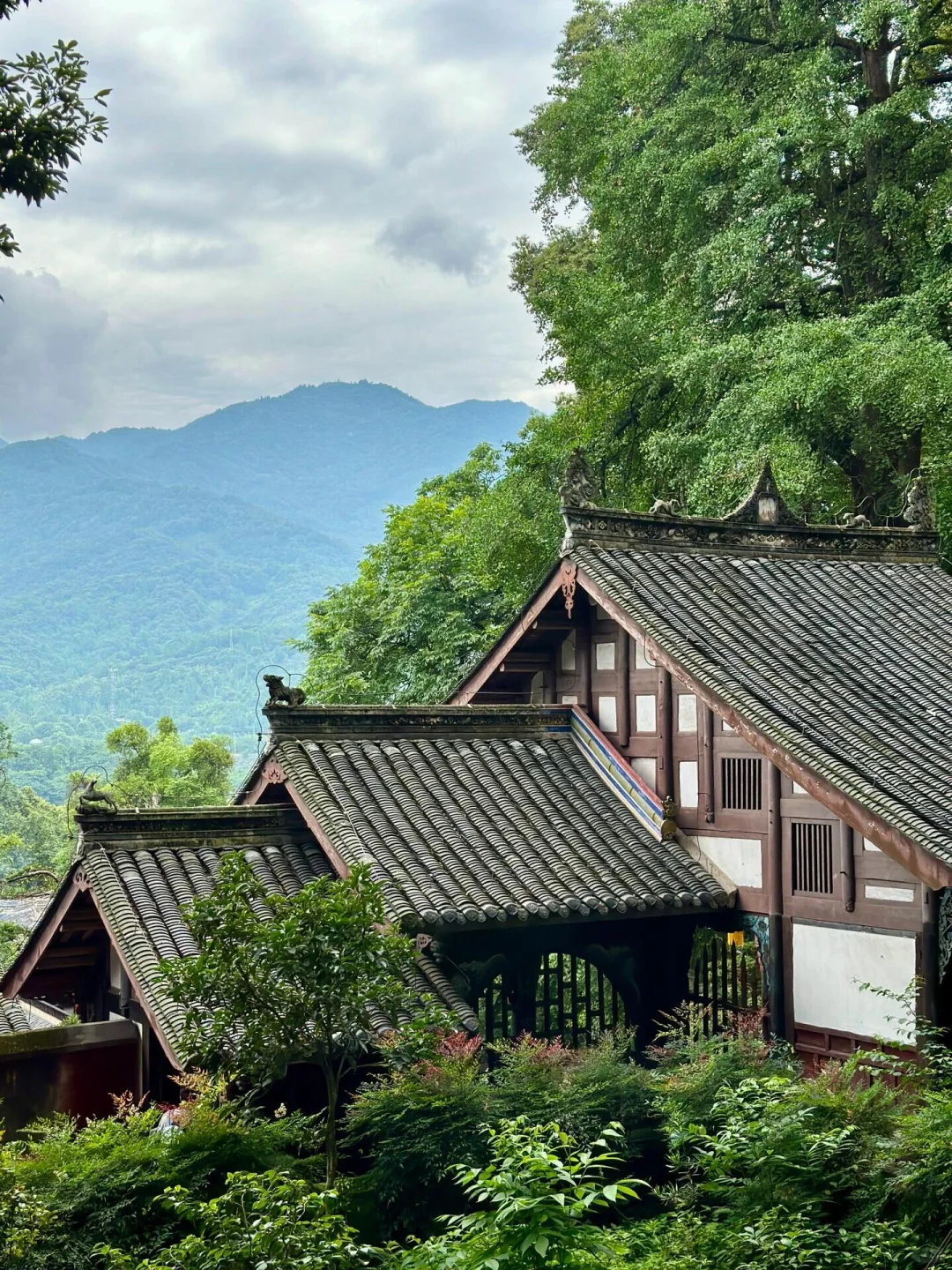 成都已回，快来收藏这份超全景点打卡👌