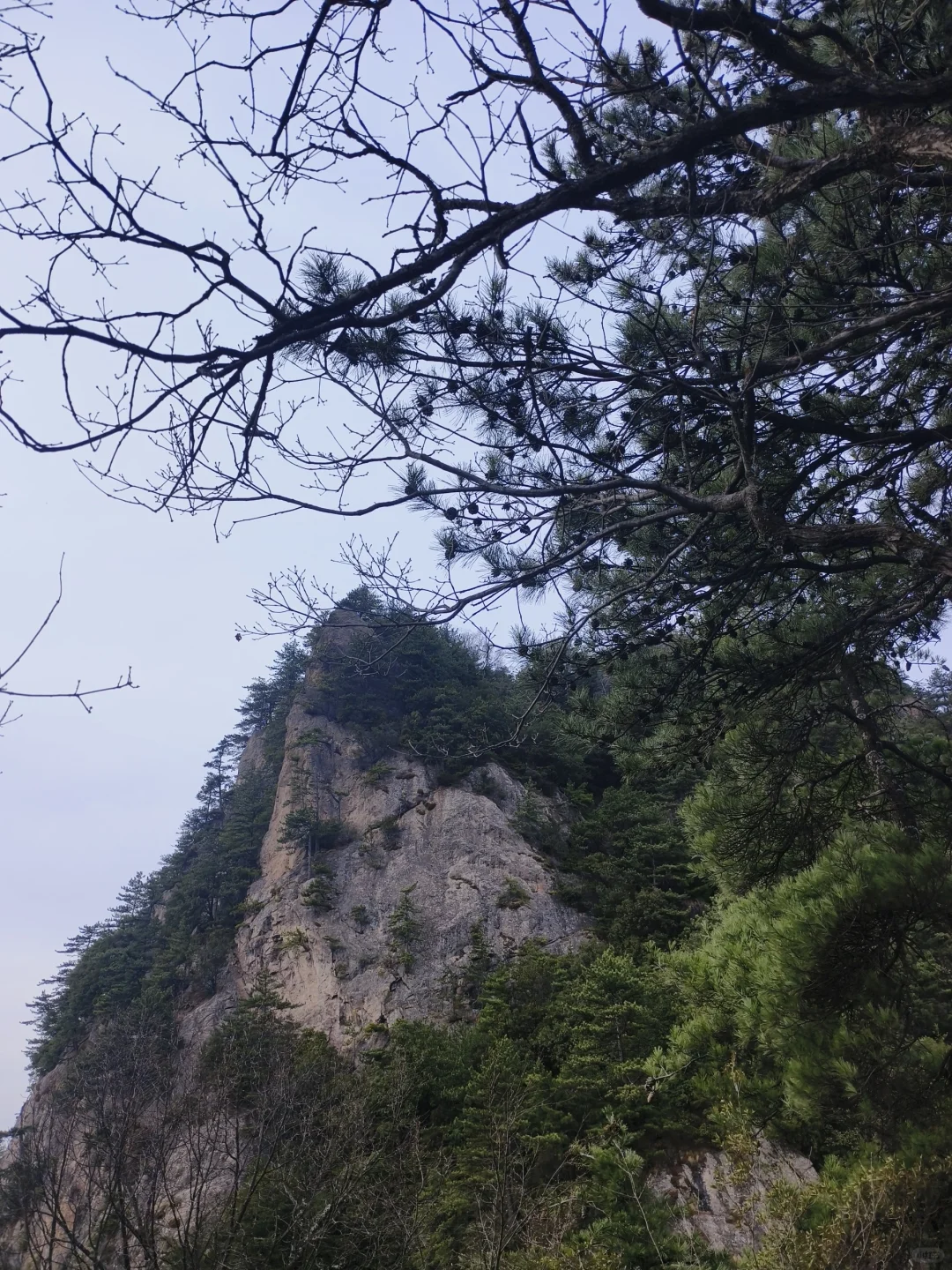 来天水看看春天吧💐总会给你惊喜的地方！