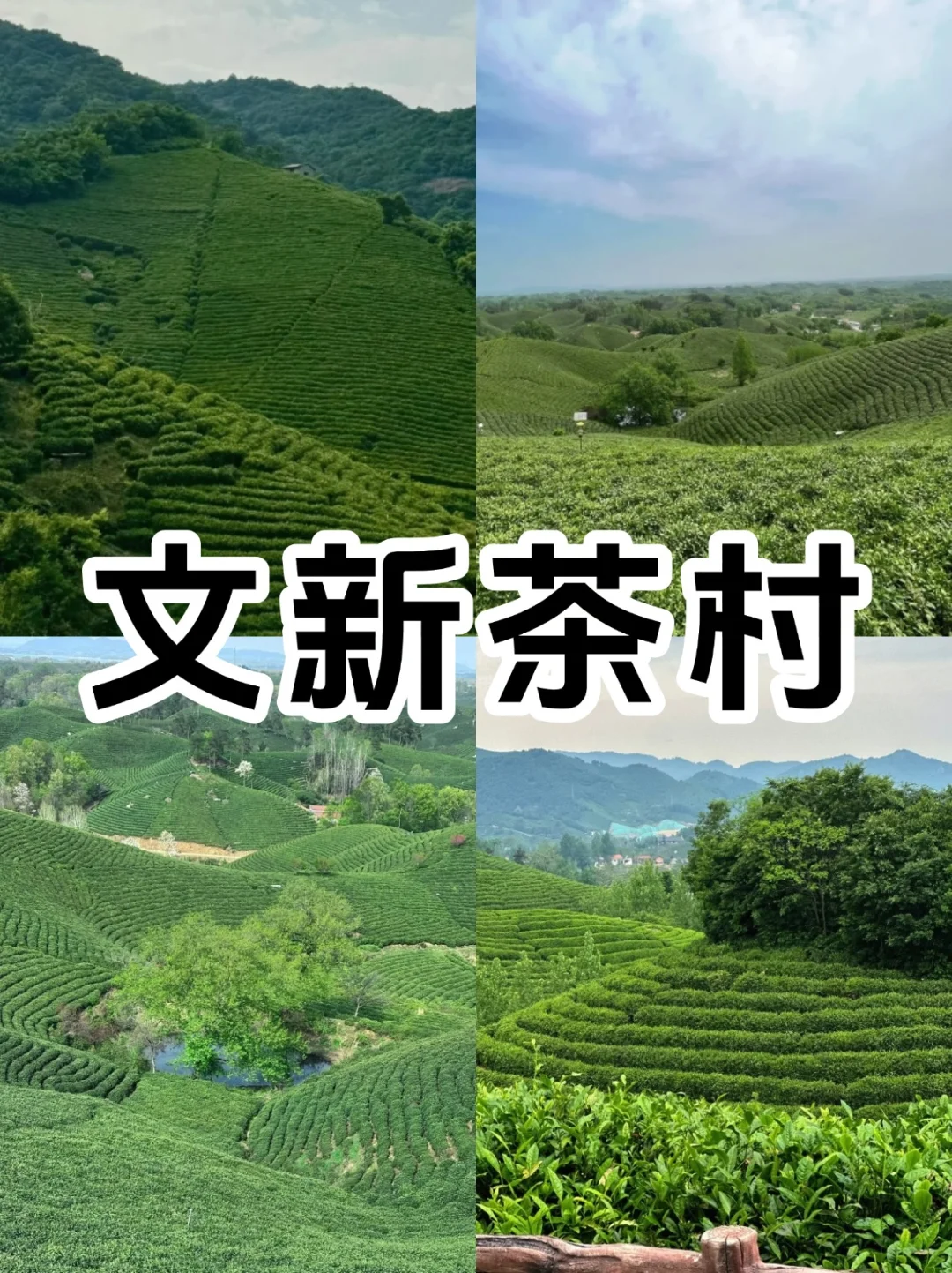 信阳必去9大景点超全新手攻略‼️