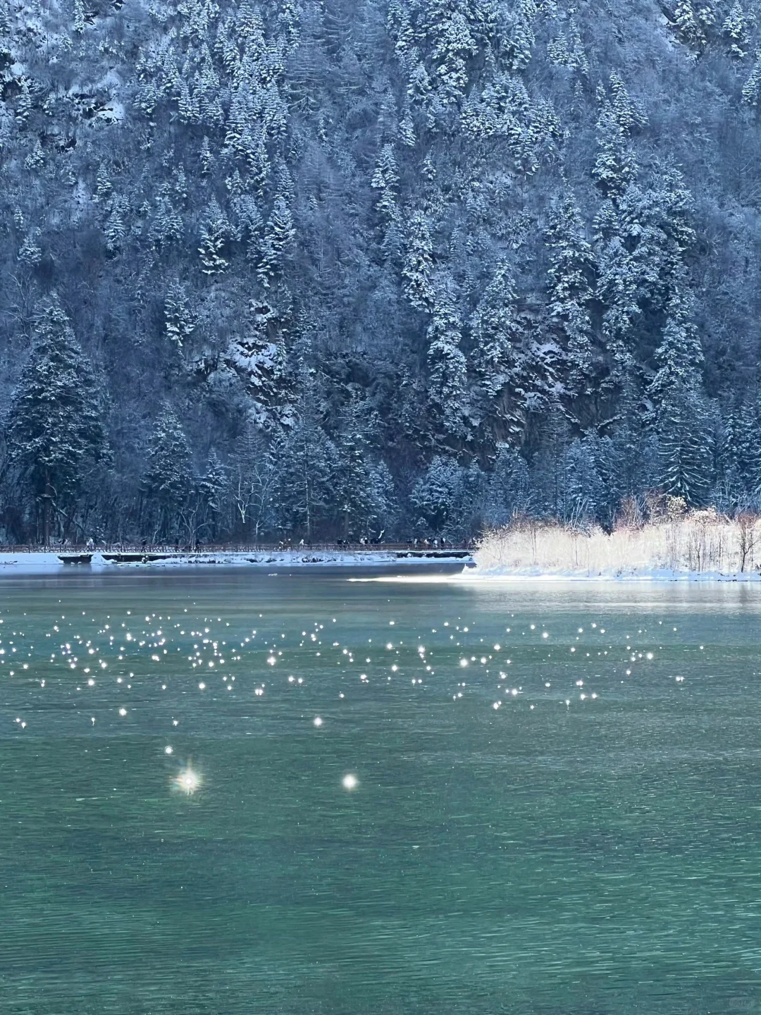 1.16📍毕棚沟实况live 简直不要太美了的！！