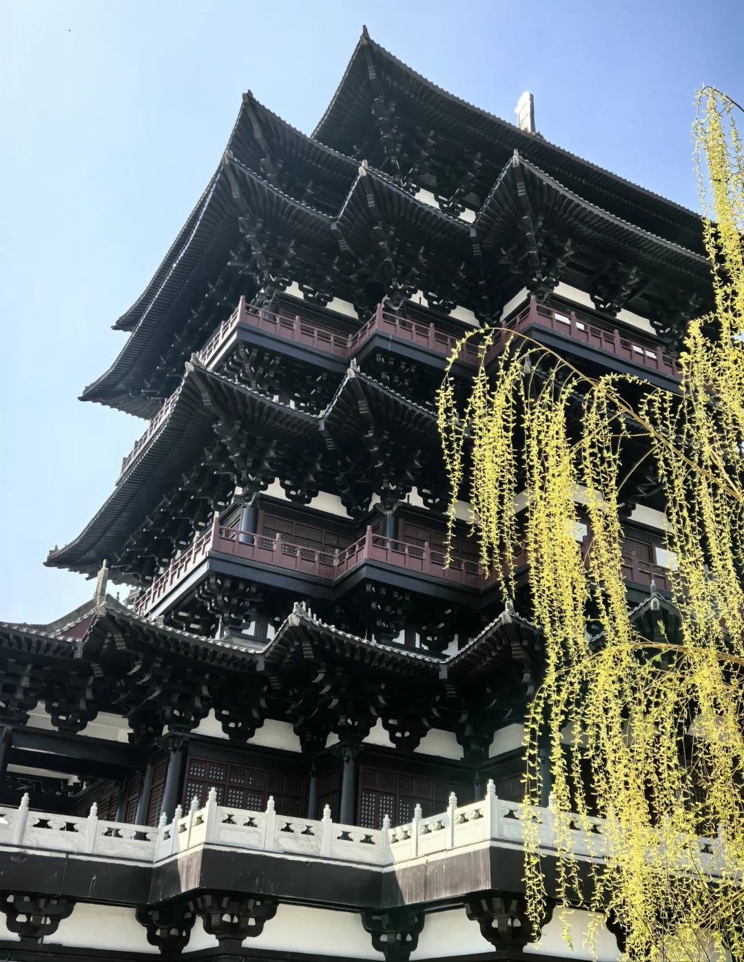 邯郸大名县一日游路线推荐