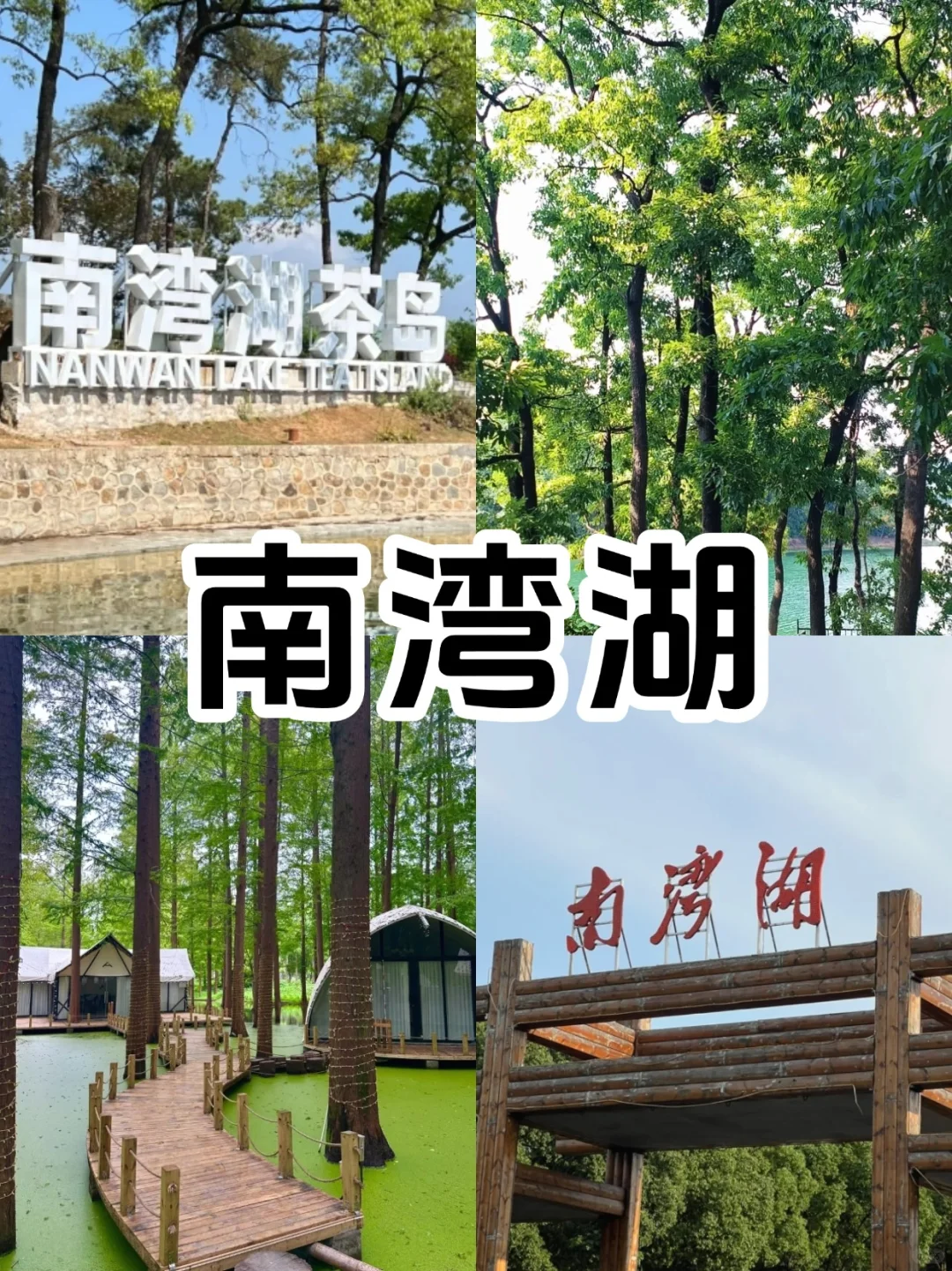 信阳必去9大景点超全新手攻略‼️