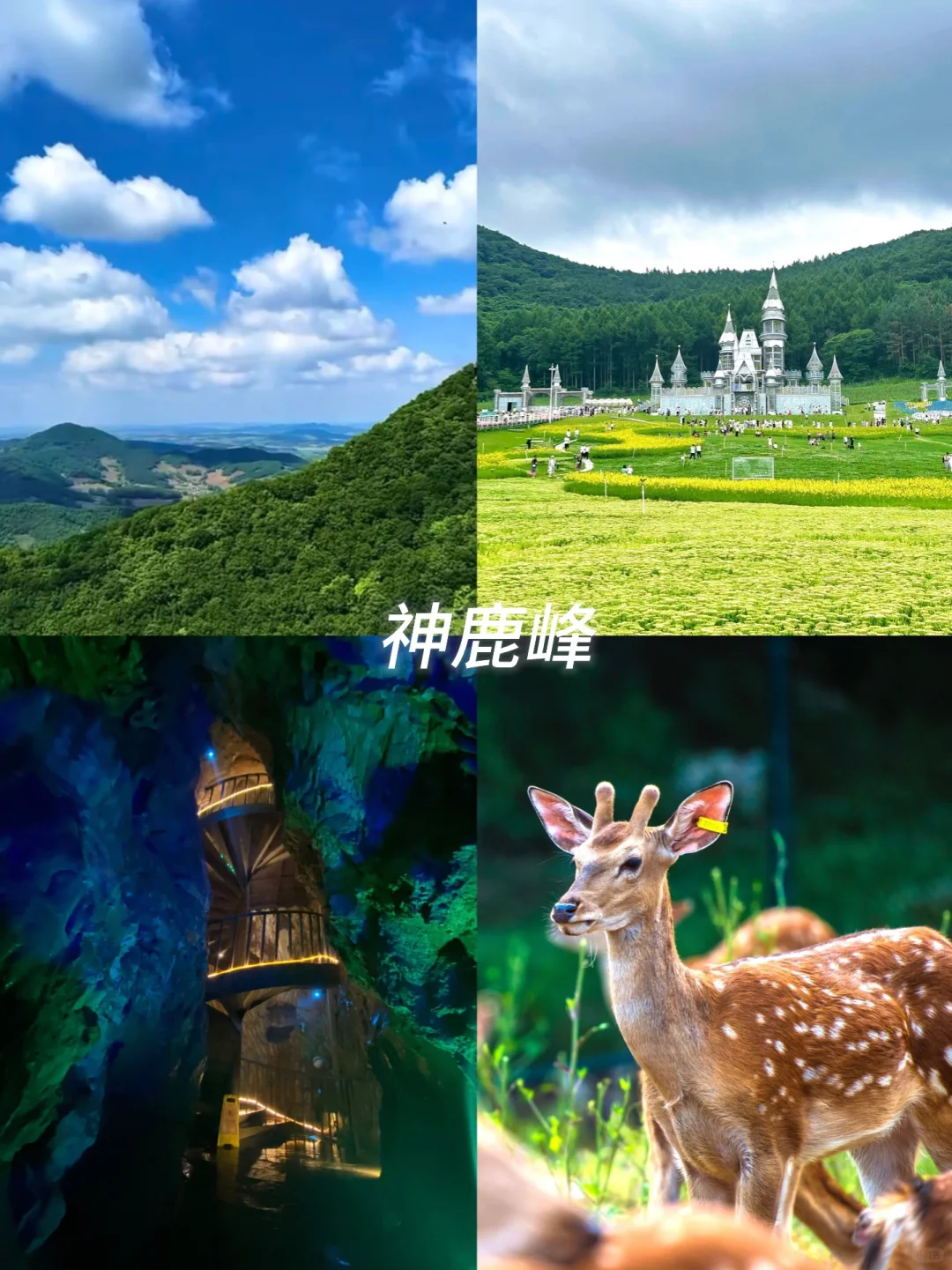 谁说东北只有雪｜长春旅游必去的五大景点