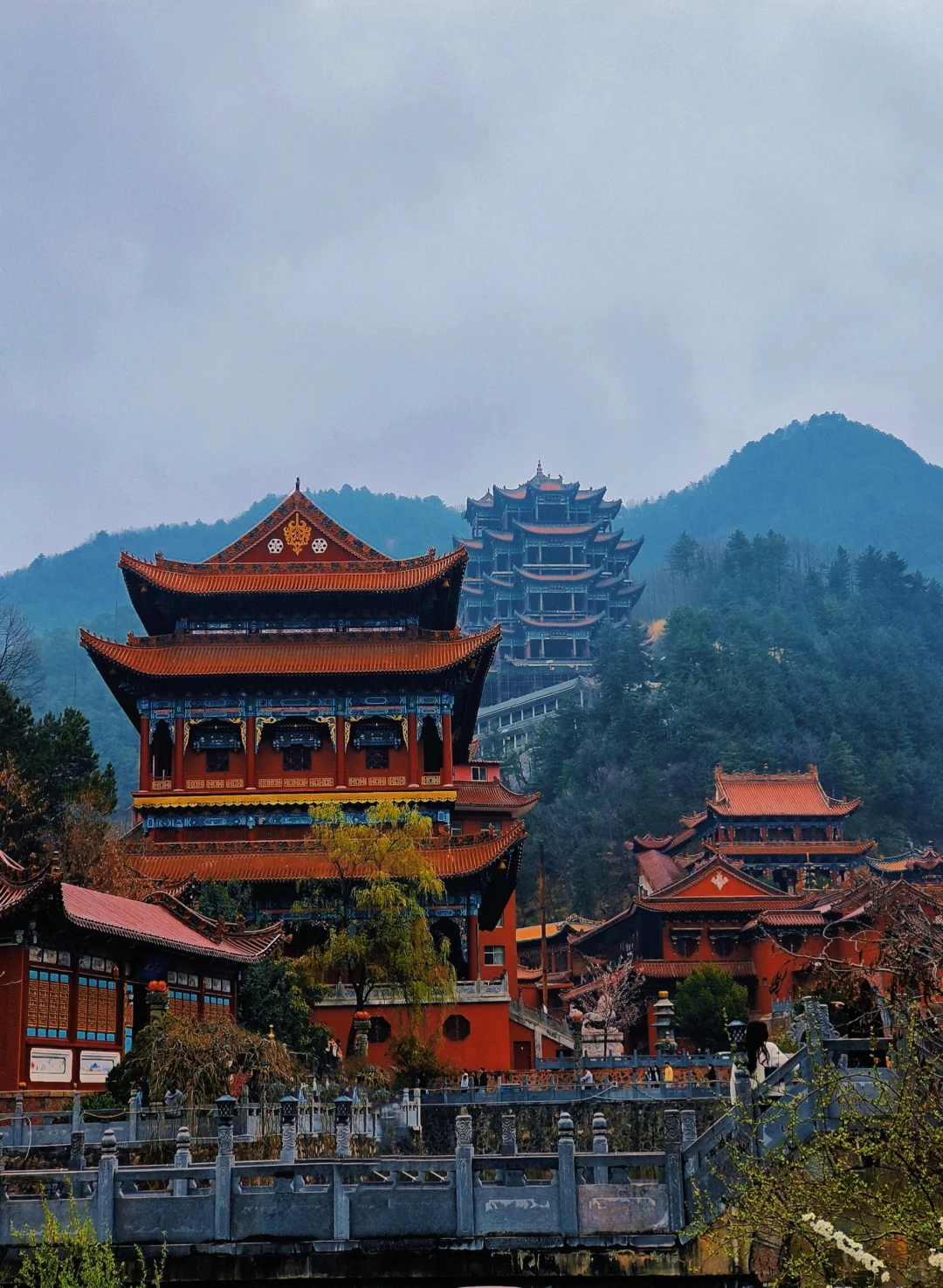 来天水看看春天吧💐总会给你惊喜的地方！