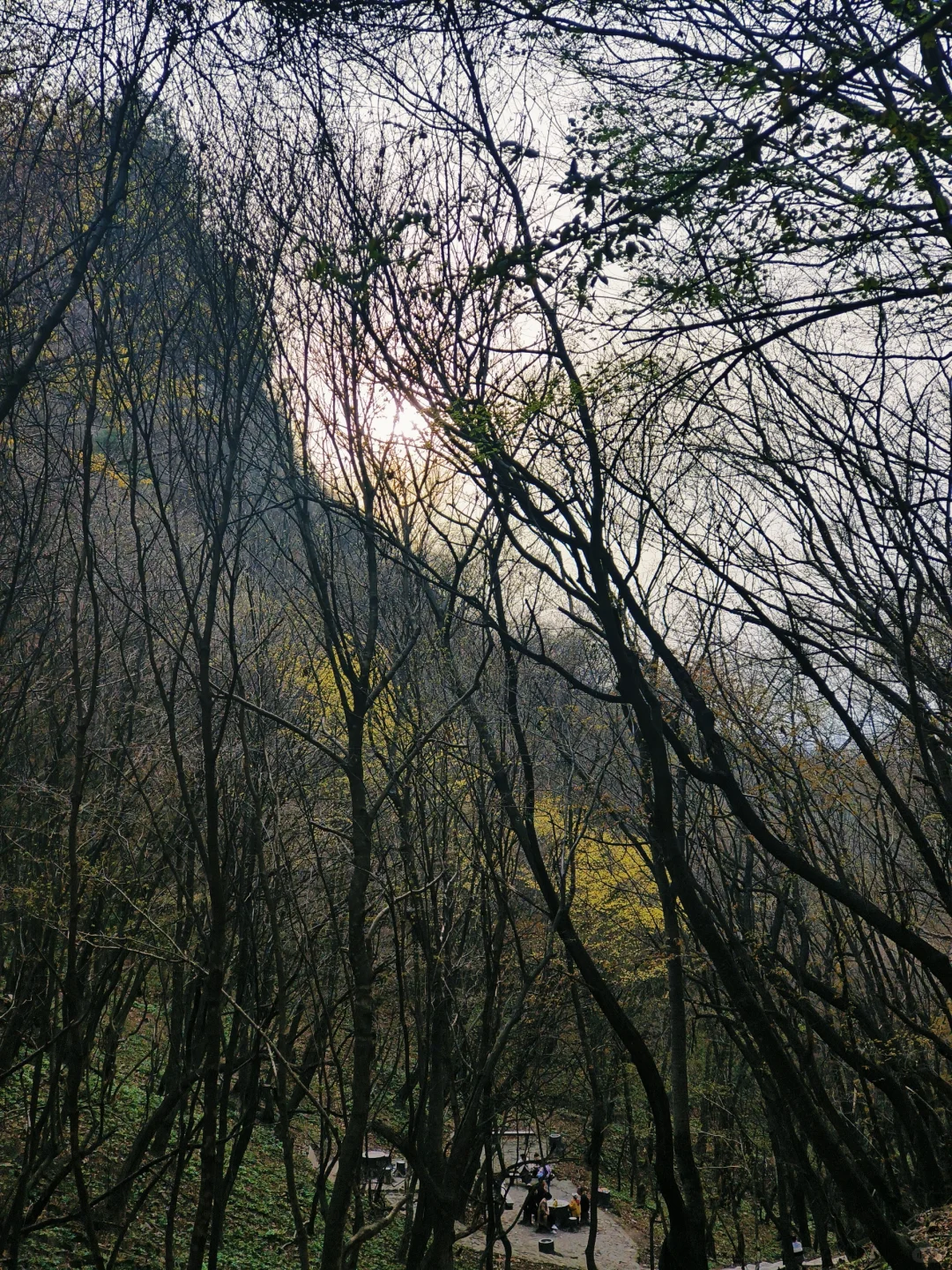 来天水看看春天吧💐总会给你惊喜的地方！