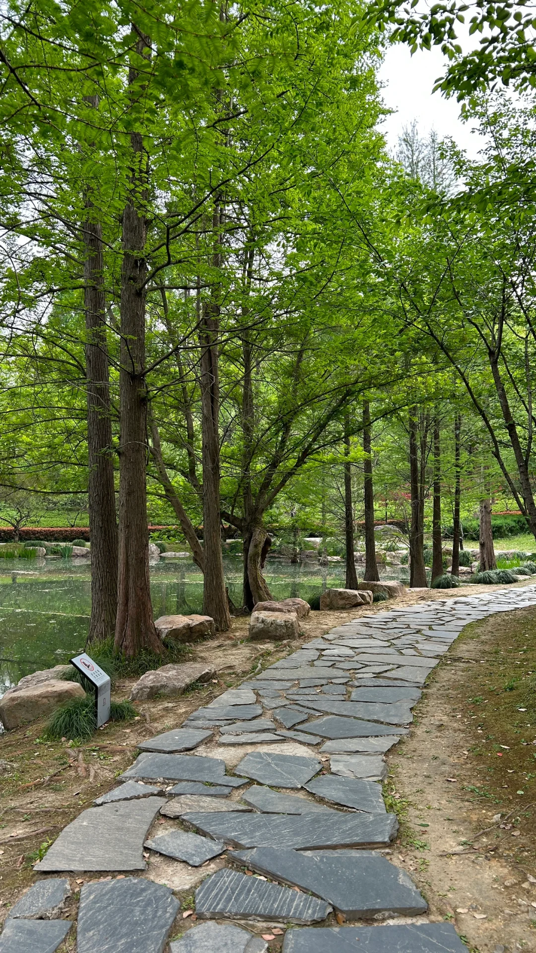 无关风月 我题序等你回