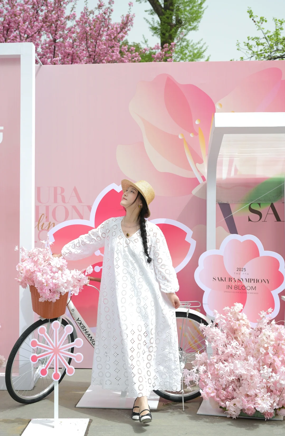 在陇南｜赏樱🌸品酿～