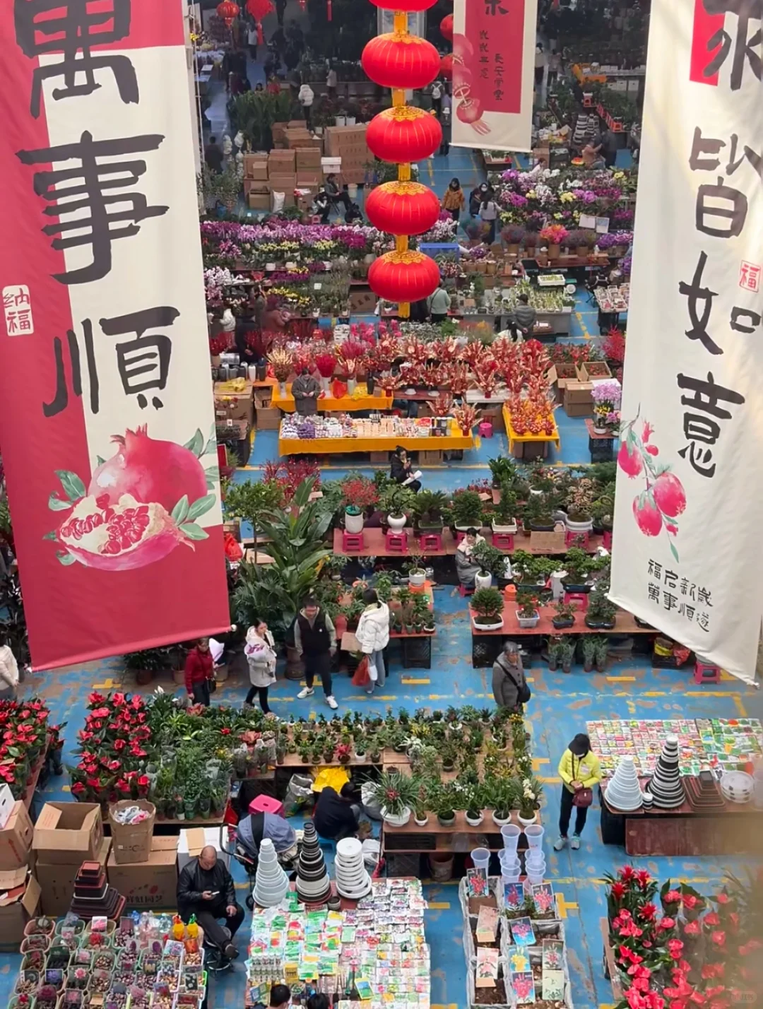 大学生云南旅游攻略 人均2k！！