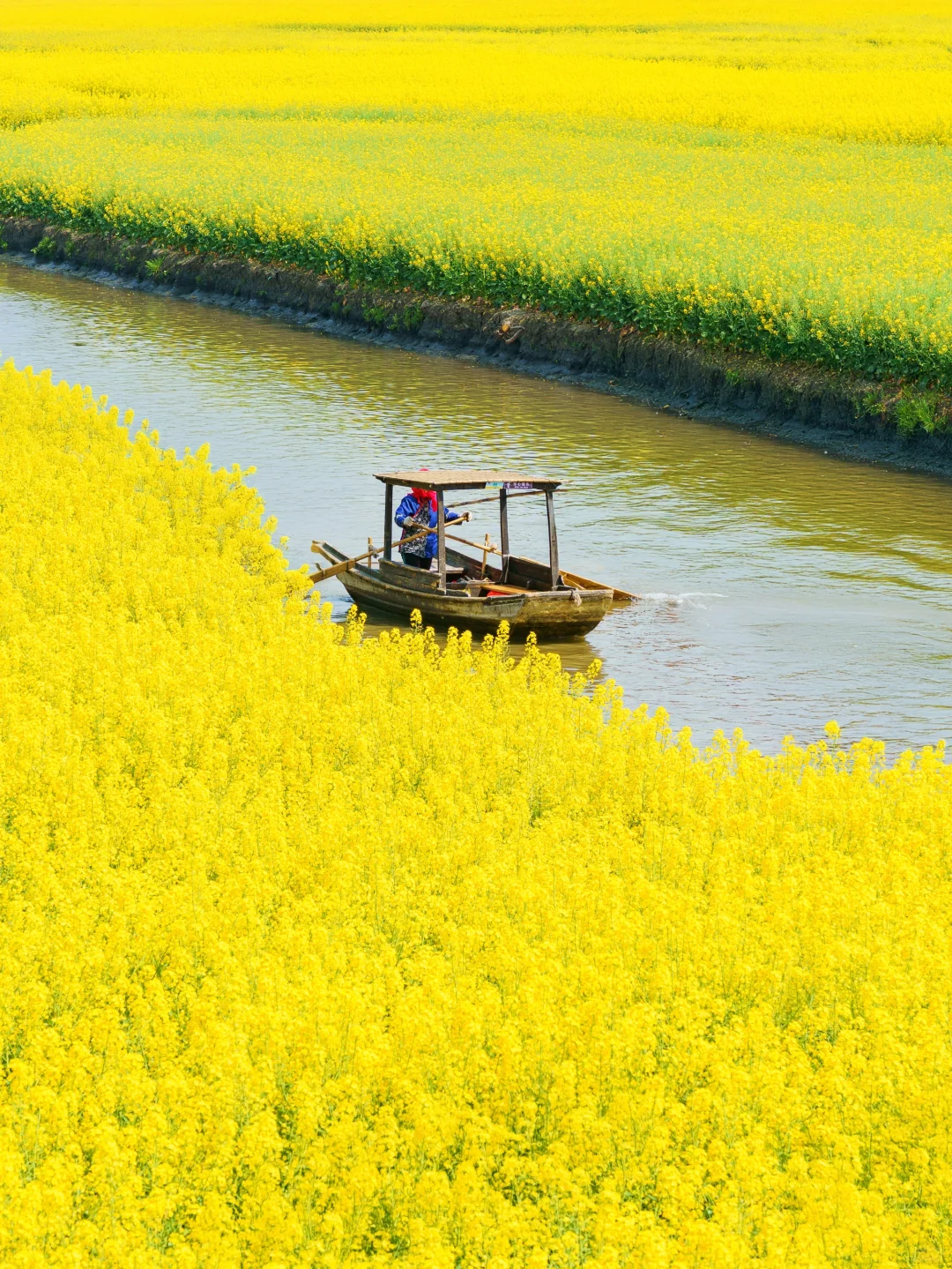 被《国家地理》评为最美的水上花海🌼有多绝👍