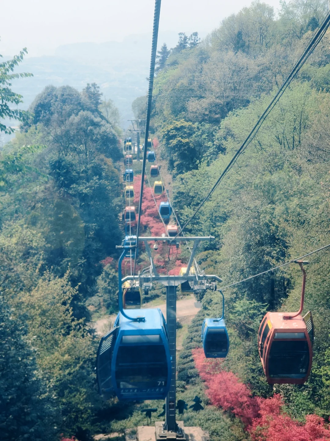 刚回来❗蒙顶山采茶徒步，亲子奖牌拿下‼️