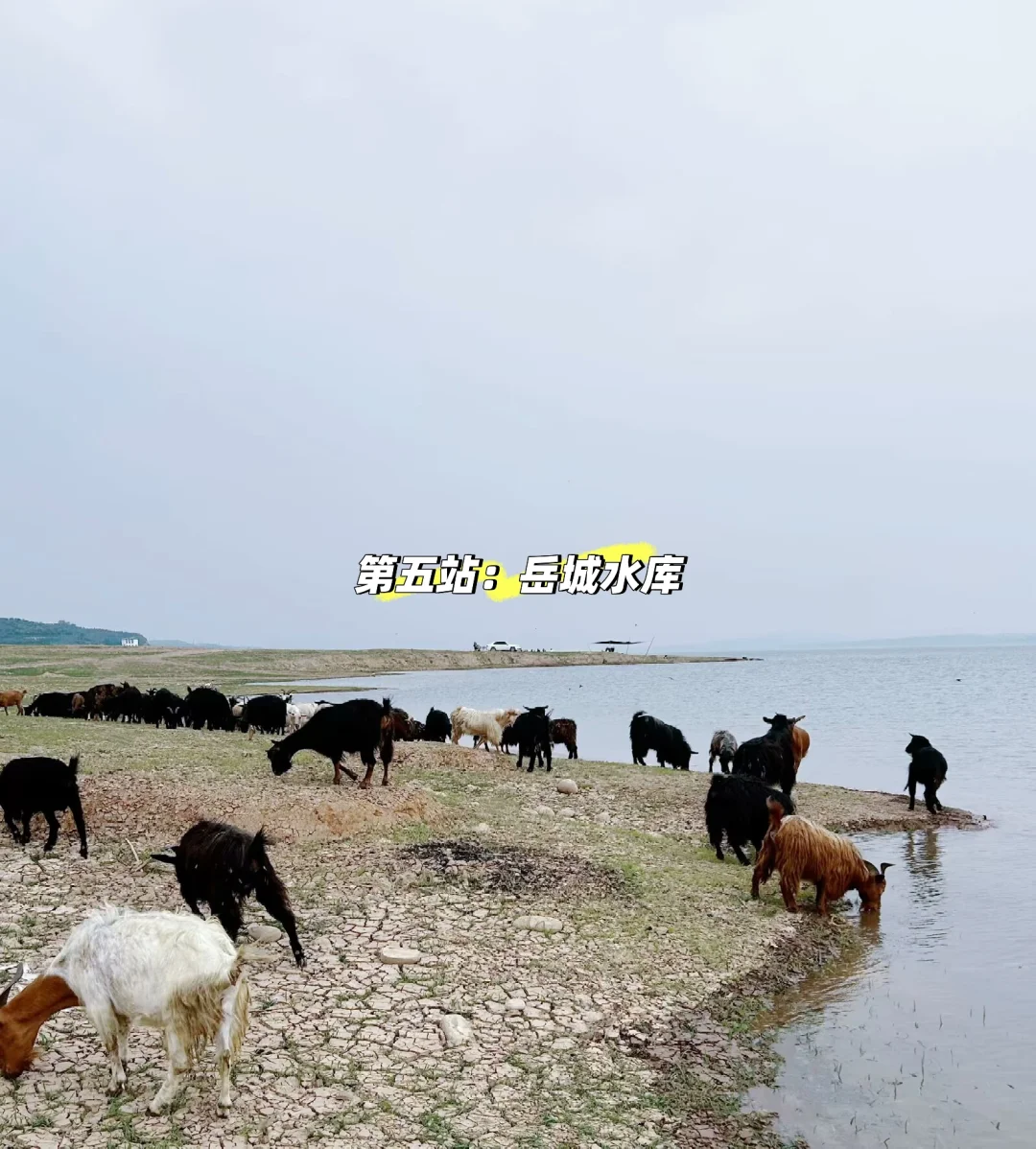 邯郸|周边一日游攻略🍀