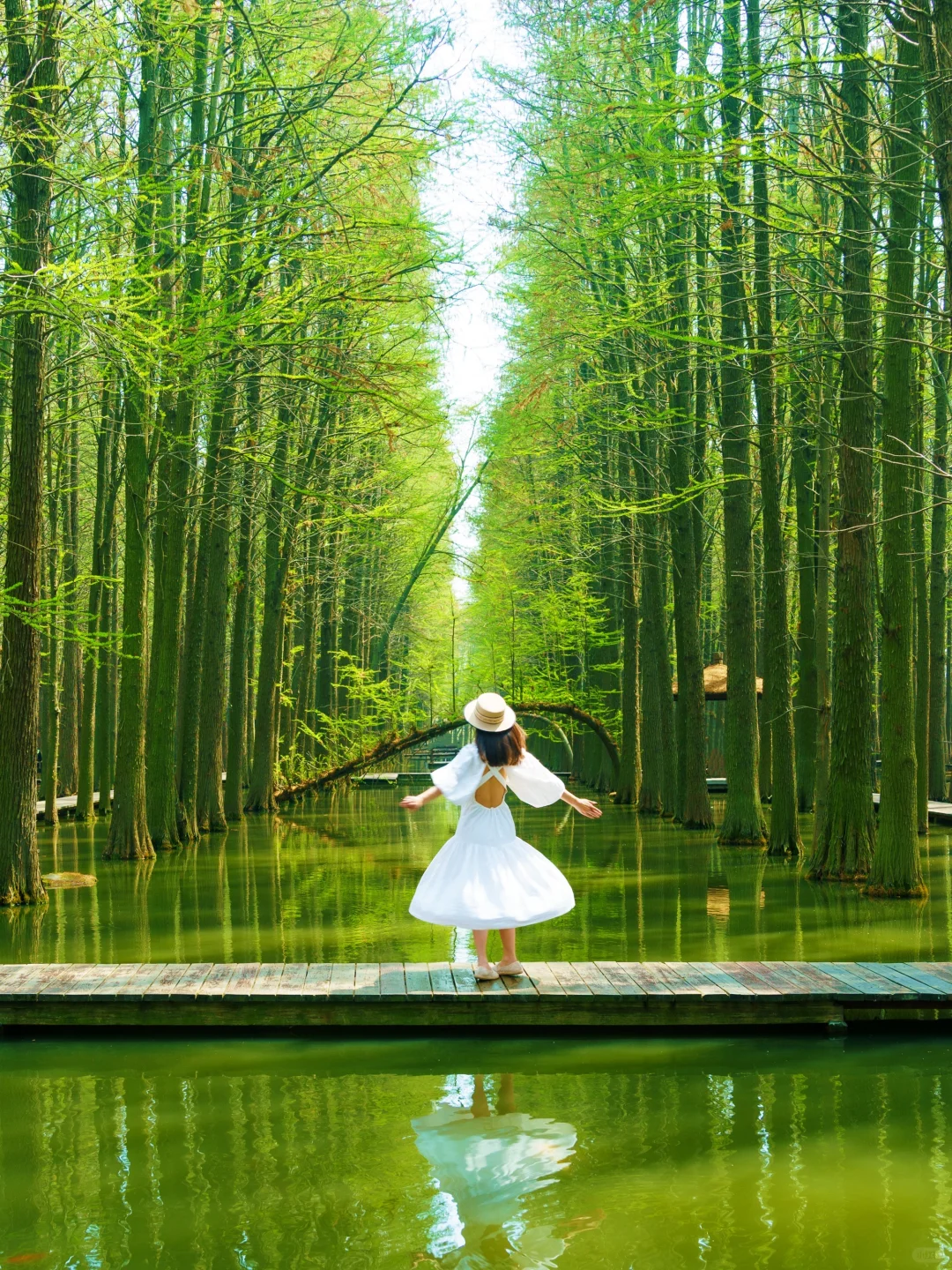 被《国家地理》评为最美的水上花海🌼有多绝👍