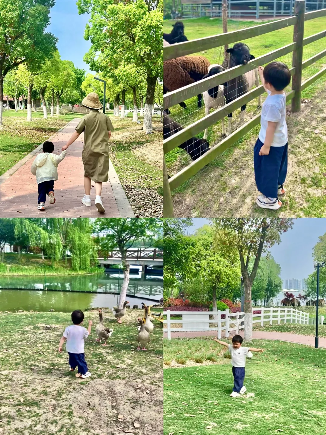 上海🚘1h 嘉兴两日游 撸宠游湖玩乐园卡丁车