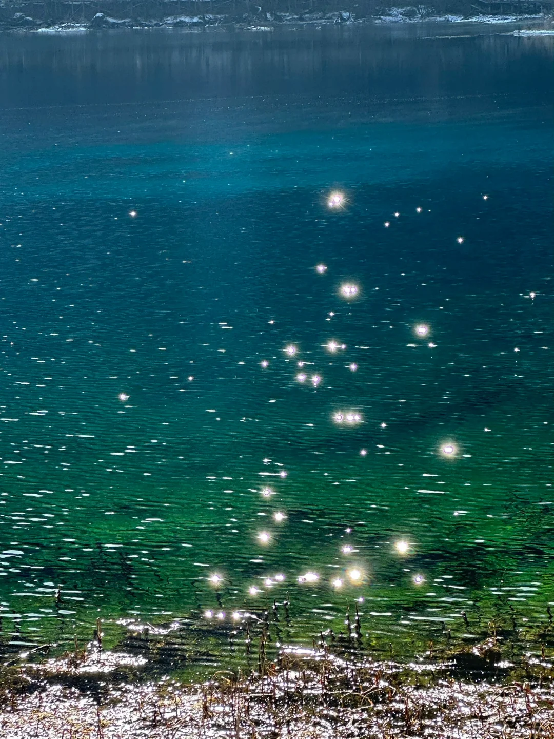 4.9📍九寨沟live实况直出…大自然的调色盘🎨