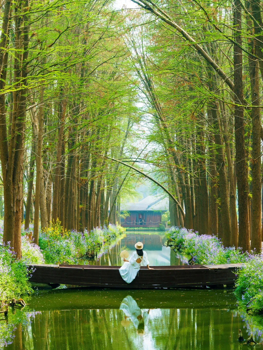 被《国家地理》评为最美的水上花海🌼有多绝👍