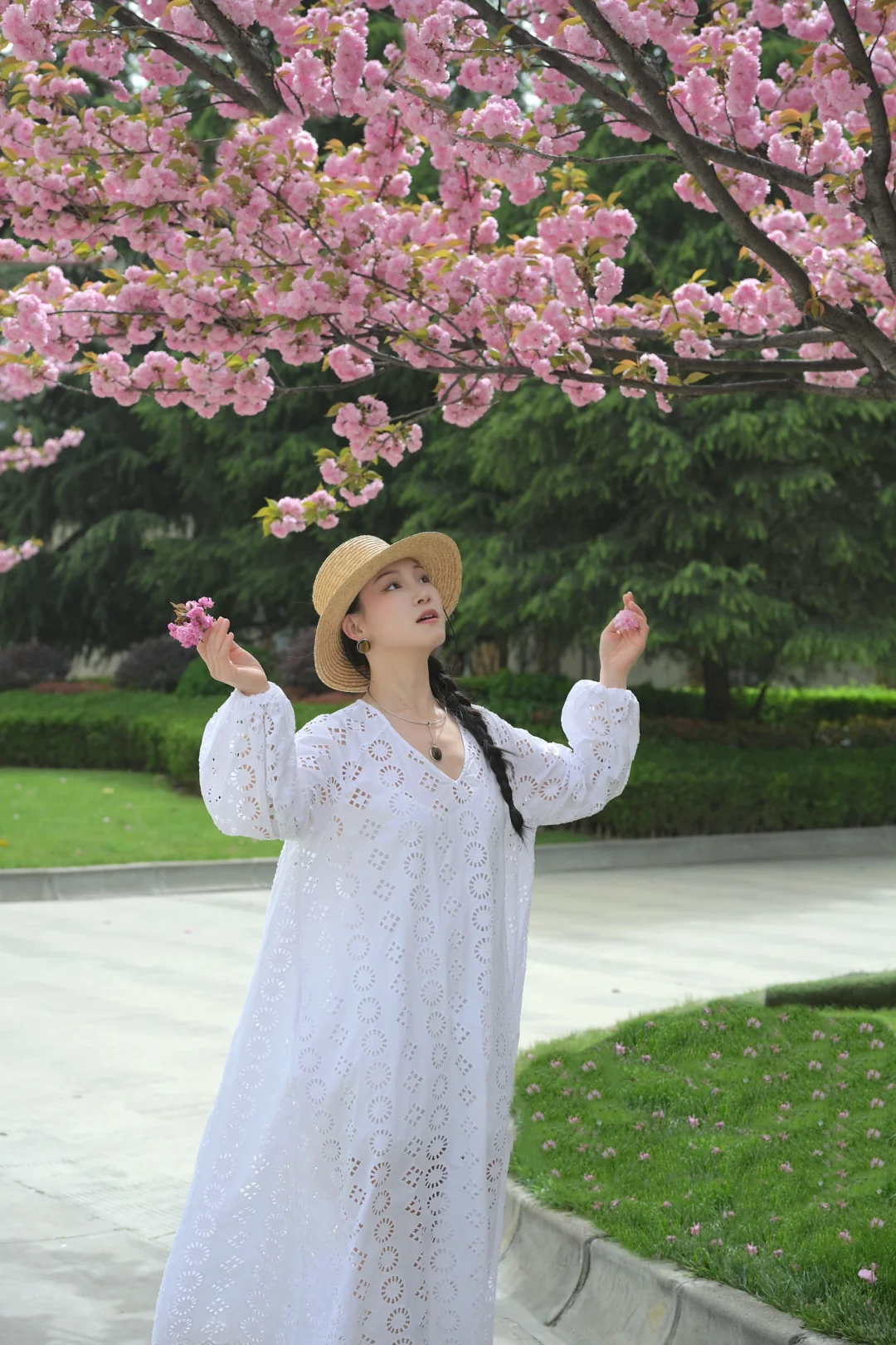 在陇南｜赏樱🌸品酿～