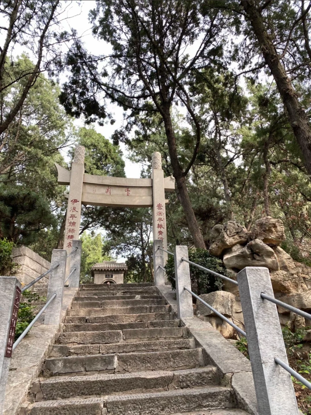 带爸妈去洛阳，2025赏花全攻略 路线+美食