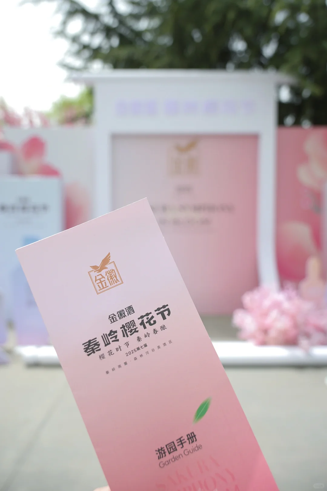 在陇南｜赏樱🌸品酿～