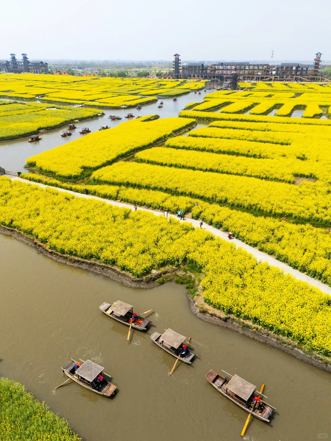 被《国家地理》评为最美的水上花海🌼有多绝👍