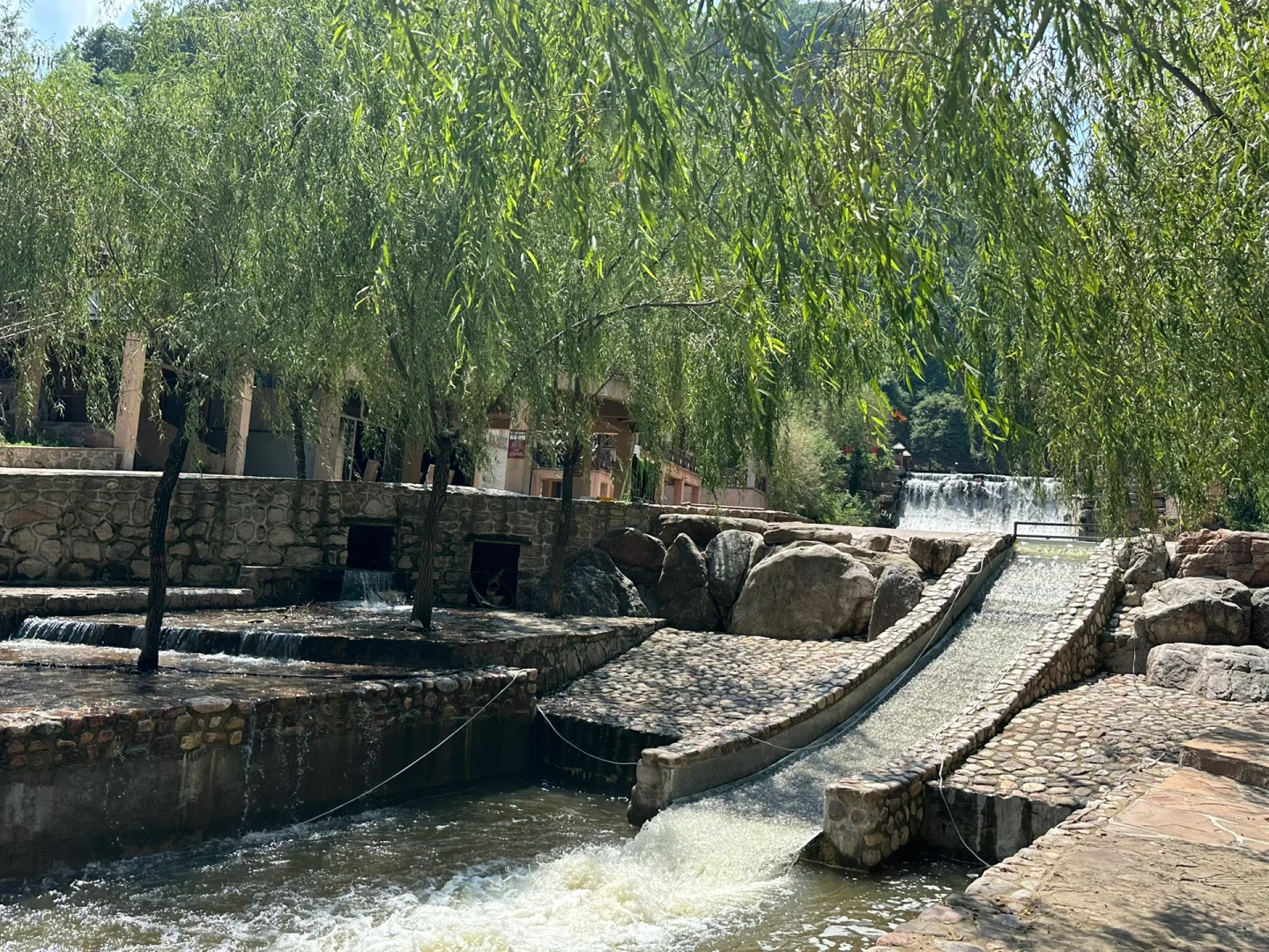 邯郸旅游之宠物友好景区：狗狗来七步沟啦