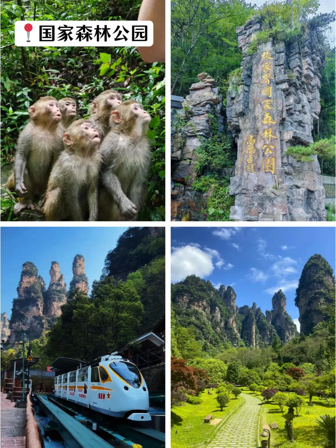⭕张家界5日游|超省心保姆级攻略 别划走