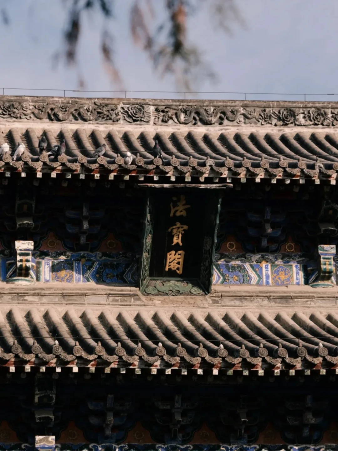 带爸妈去洛阳，2025赏花全攻略 路线+美食