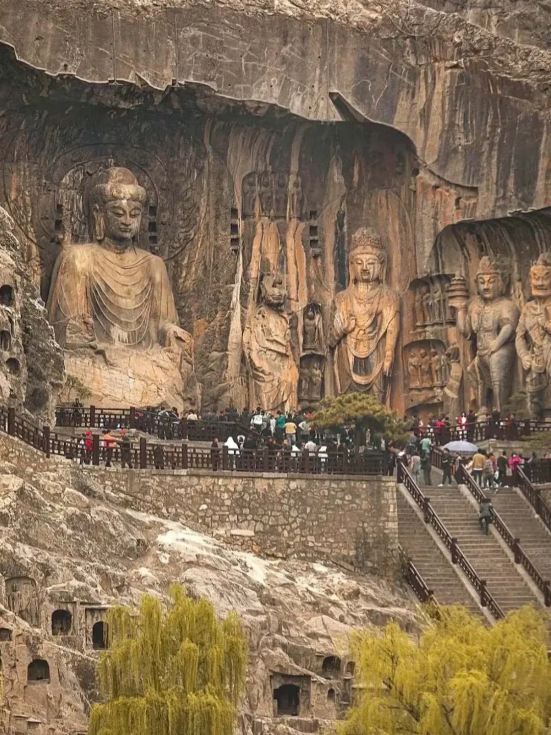 带爸妈去洛阳，2025赏花全攻略 路线+美食