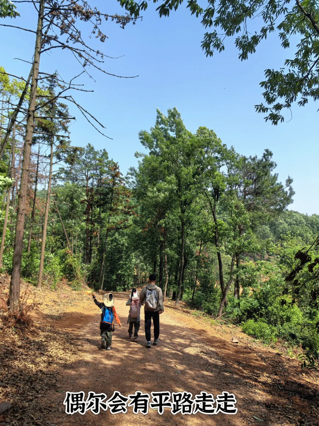 九真山小环线vs景区，哪个更适合带孩子