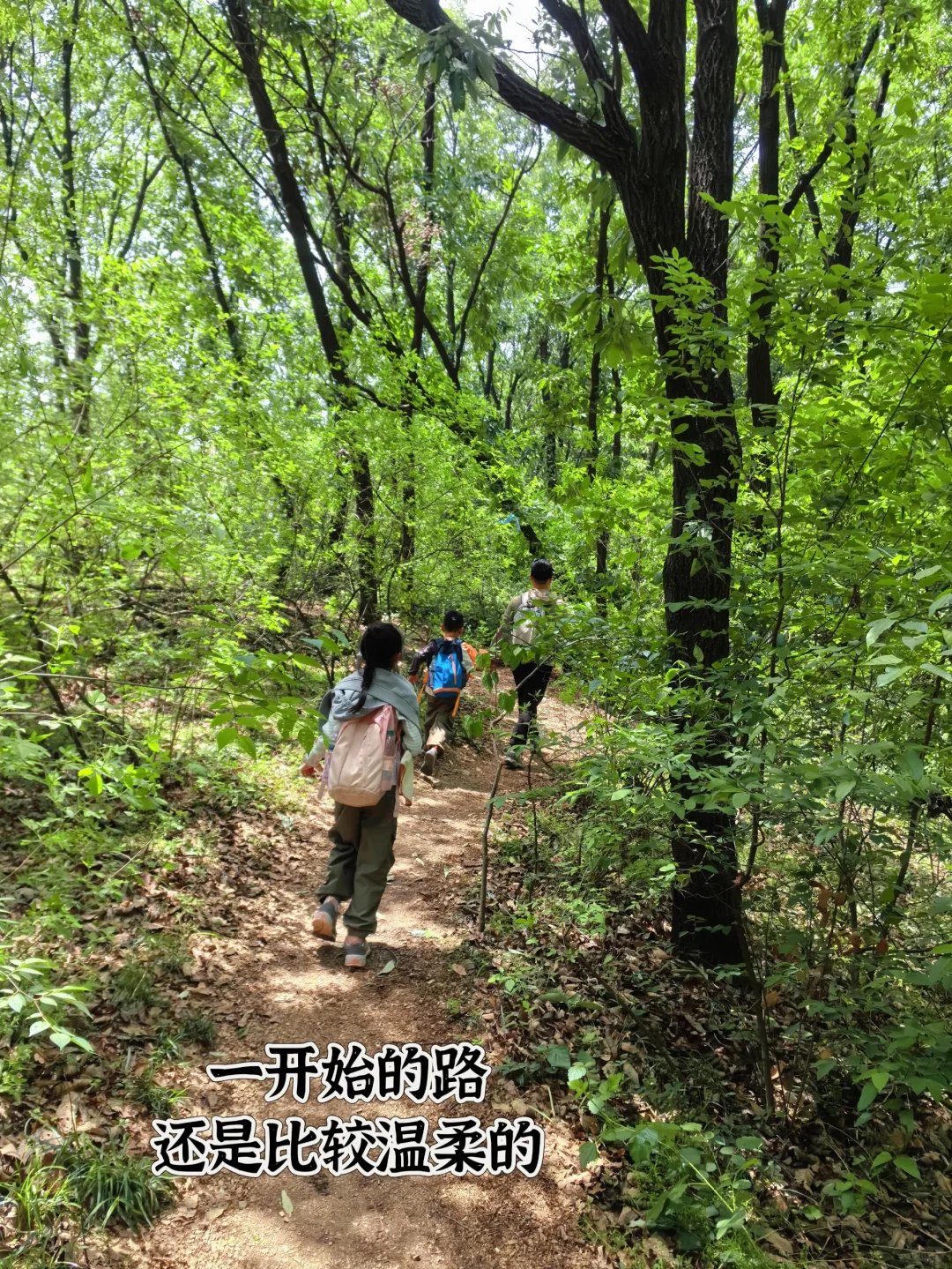 九真山小环线vs景区，哪个更适合带孩子