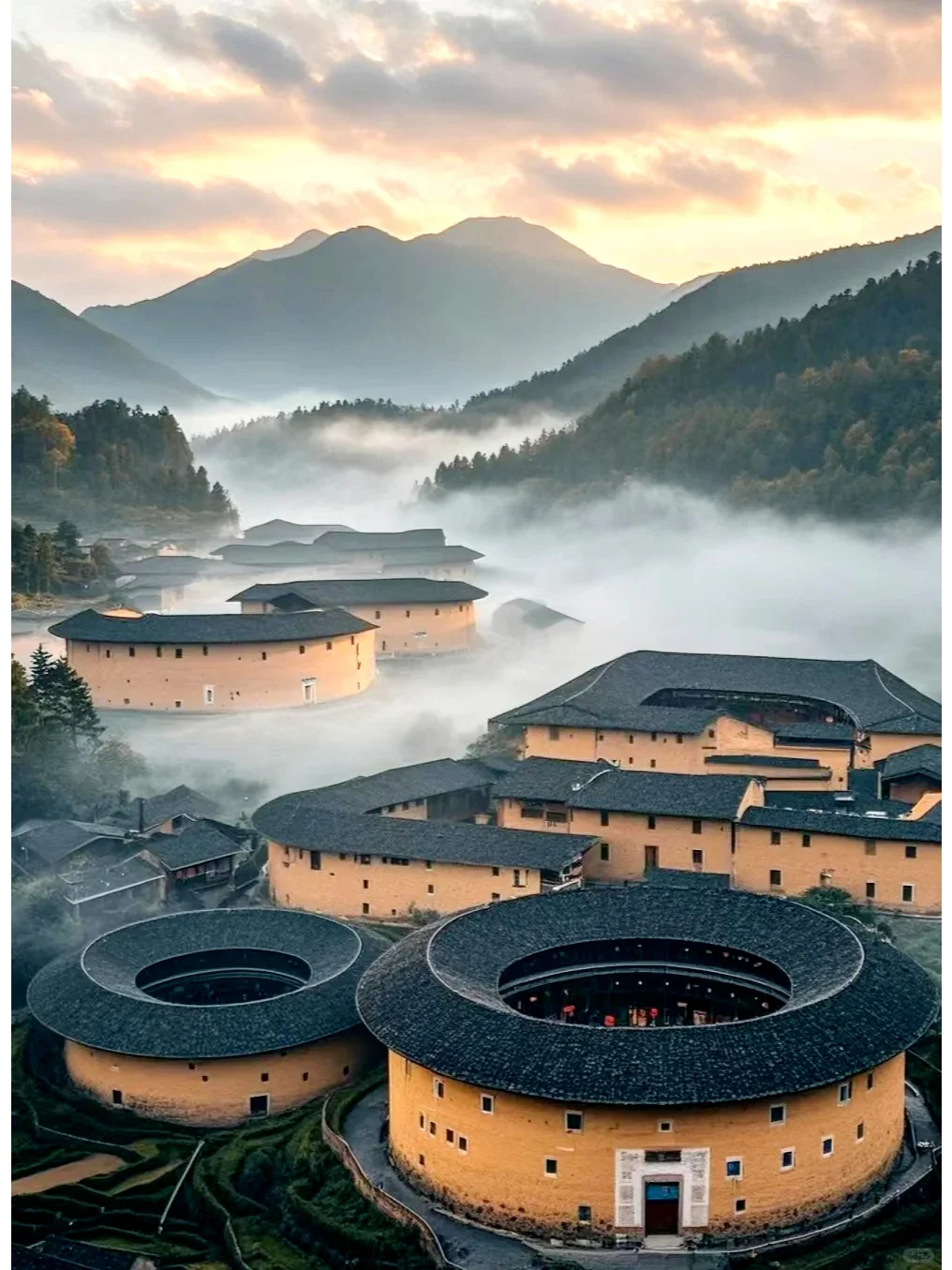 “椿去湫来，海棠花开”