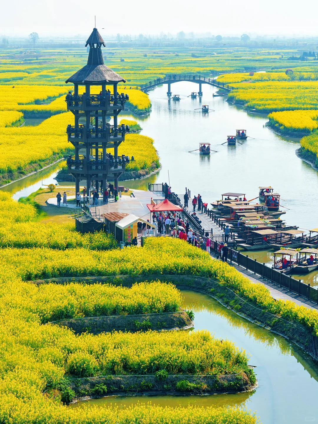 被《国家地理》评为最美的水上花海🌼有多绝👍