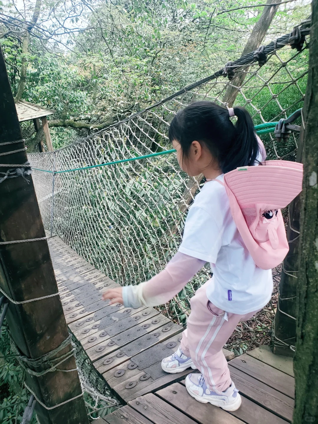 刚回来❗蒙顶山采茶徒步，亲子奖牌拿下‼️