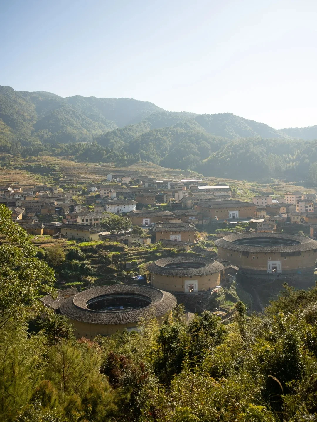 “椿去湫来，海棠花开”