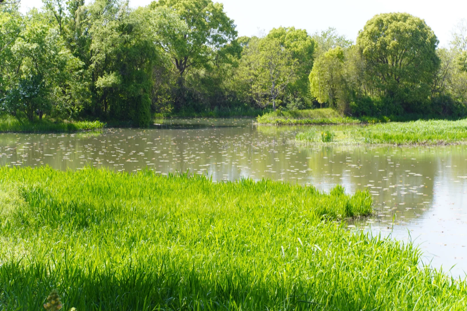 🚩杭州一日游 | 超全攻略带你玩转杭城