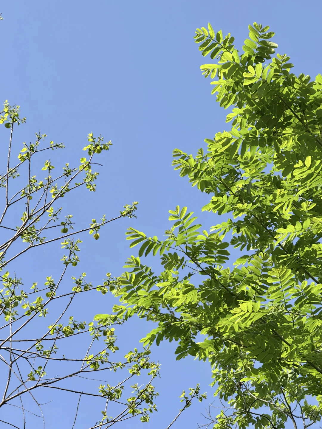 公园吸氧计划 | 西湖边存在感最低的公园⛰️