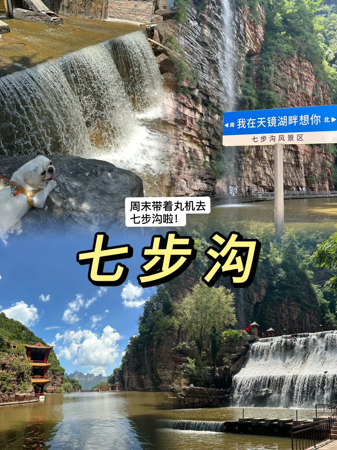 邯郸旅游之宠物友好景区：狗狗来七步沟啦