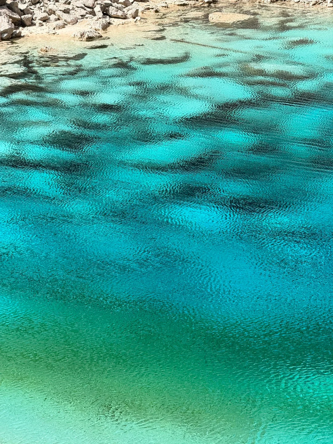 4.9📍九寨沟live实况直出…大自然的调色盘🎨