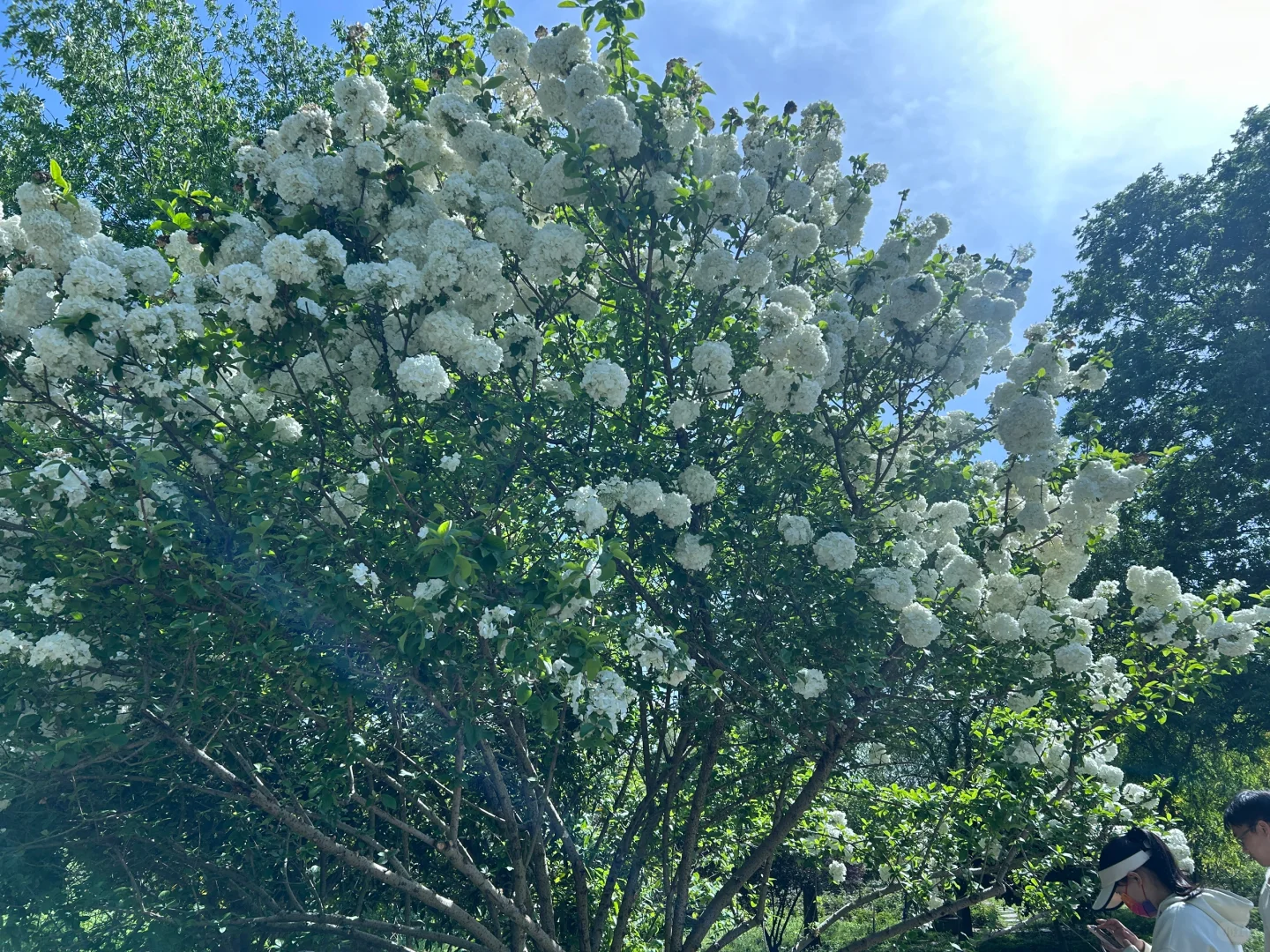 🚩杭州一日游 | 超全攻略带你玩转杭城