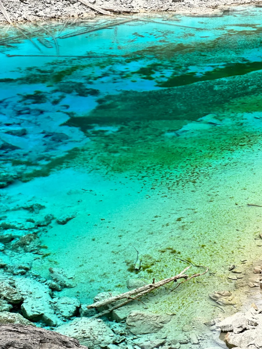 4.9📍九寨沟live实况直出…大自然的调色盘🎨