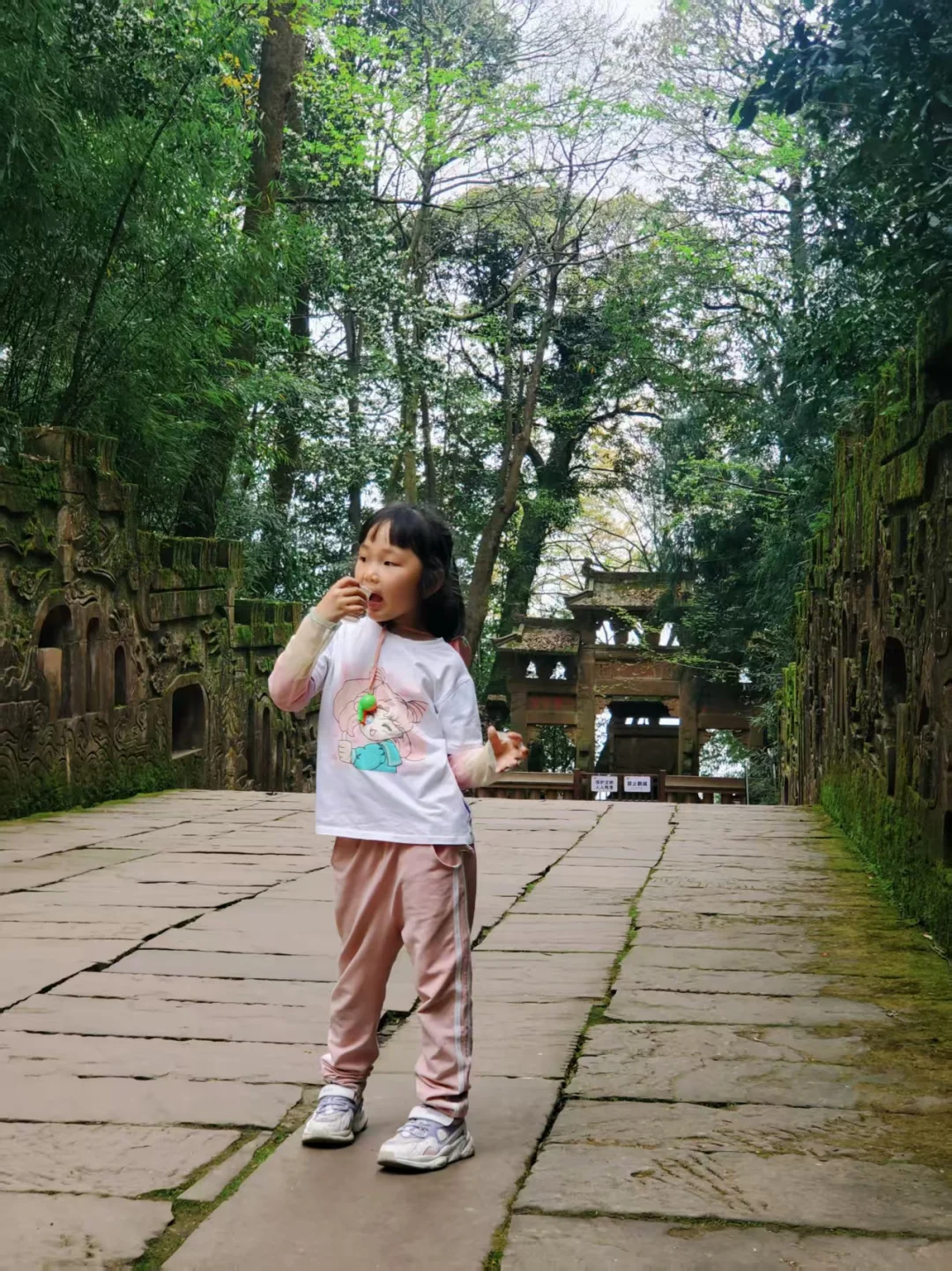 刚回来❗蒙顶山采茶徒步，亲子奖牌拿下‼️