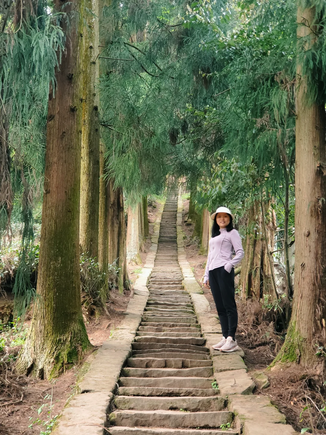 刚回来❗蒙顶山采茶徒步，亲子奖牌拿下‼️