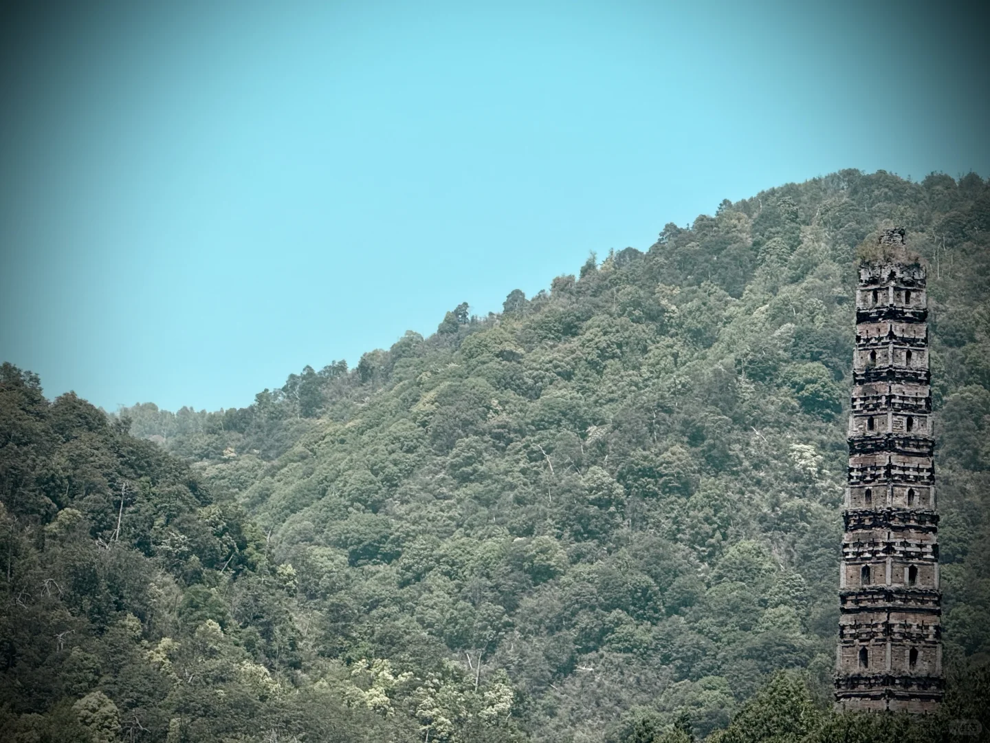 清心静气来寺庙