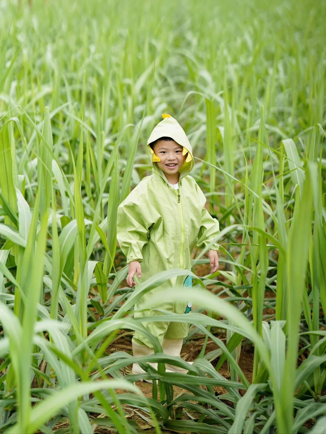 广西山水不止桂林崇左｜龙州也值得走一趟哇