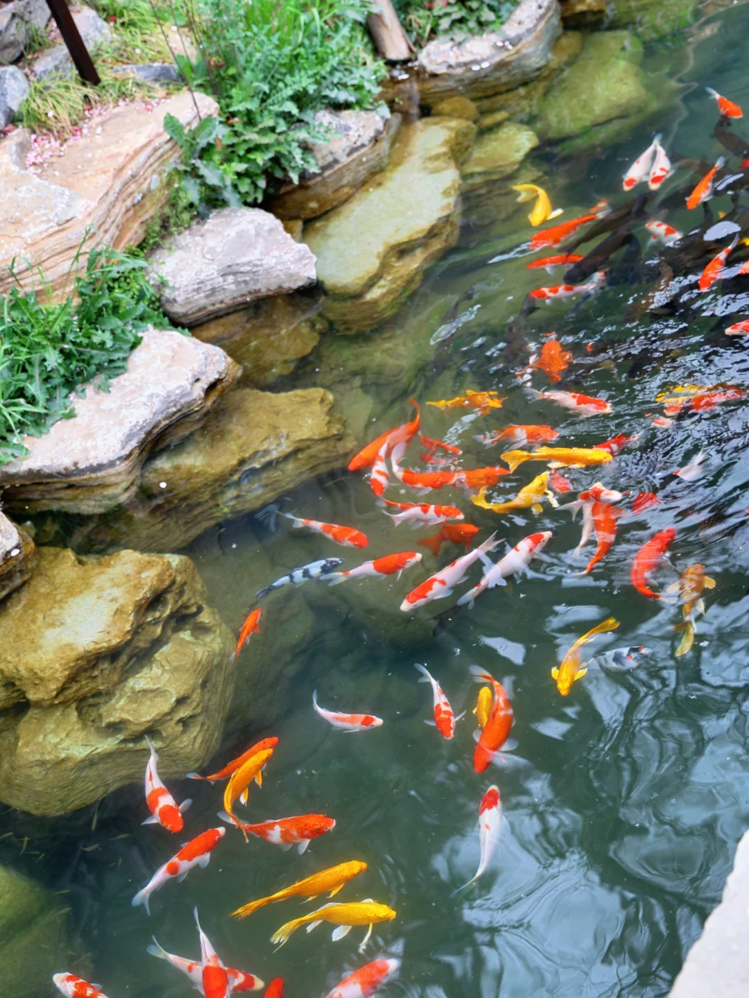 天津出发🚅1.5h直达诗词里的春天