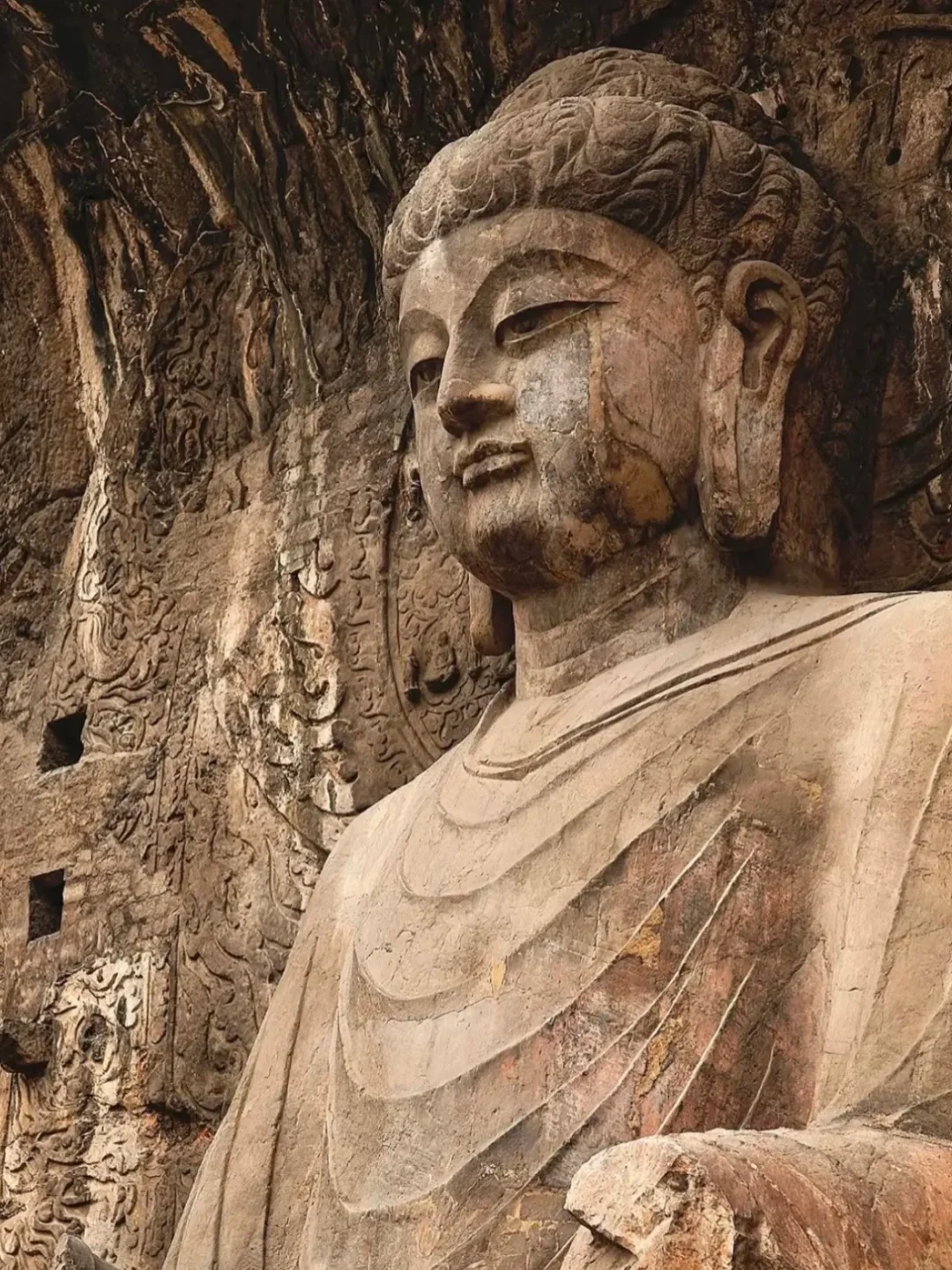 带爸妈去洛阳，2025赏花全攻略 路线+美食