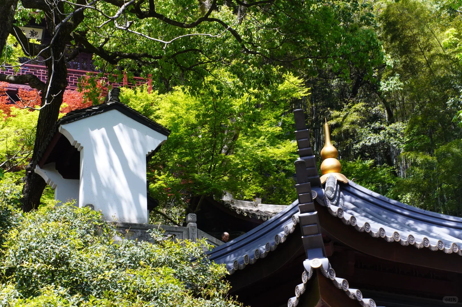 🚩杭州一日游 | 超全攻略带你玩转杭城