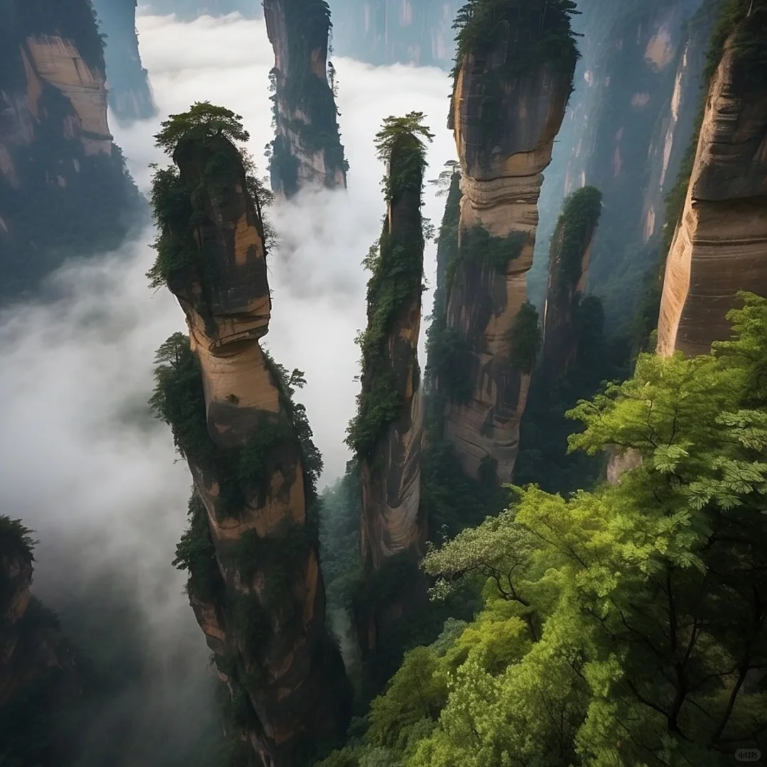 张家界4天超详细深度旅游攻略来啦