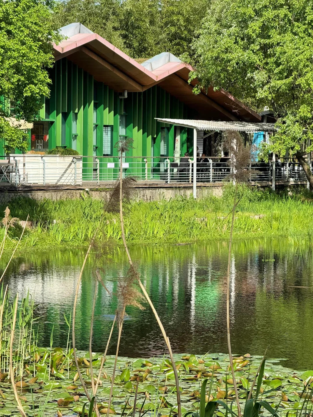 公园吸氧计划 | 西湖边存在感最低的公园⛰️