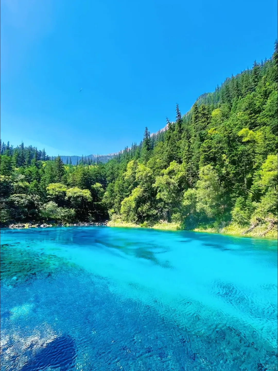 中国最美十大旅游景点，一定要带父母去一次